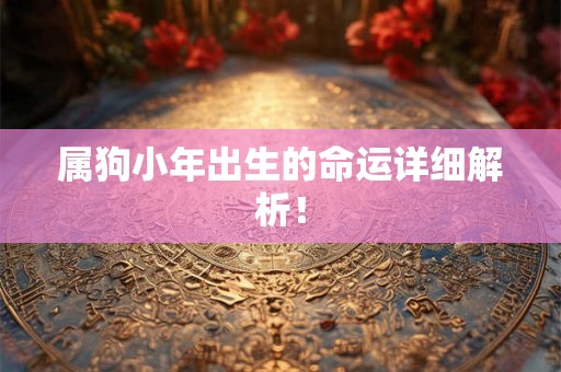 属狗小年出生的命运详细解析！