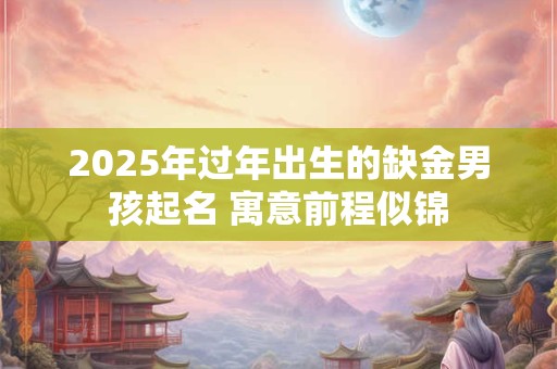 2025年过年出生的缺金男孩起名 寓意前程似锦