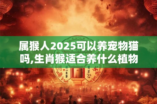属猴人2025可以养宠物猫吗,生肖猴适合养什么植物？