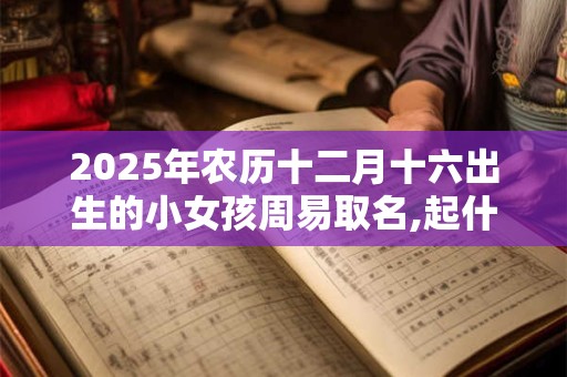 2025年农历十二月十六出生的小女孩周易取名,起什么名字最好