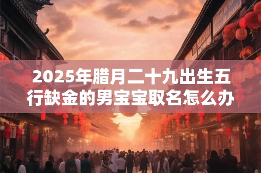 2025年腊月二十九出生五行缺金的男宝宝取名怎么办