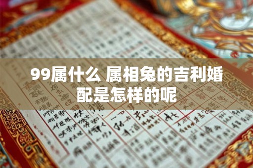 99属什么 属相兔的吉利婚配是怎样的呢