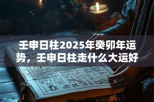 壬申日柱2025年癸卯年运势，壬申日柱走什么大运好？