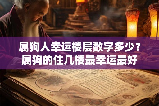 属狗人幸运楼层数字多少？属狗的住几楼最幸运最好
