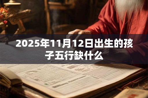 2025年11月12日出生的孩子五行缺什么