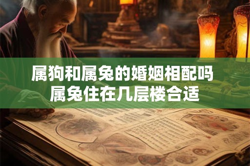 属狗和属兔的婚姻相配吗 属兔住在几层楼合适