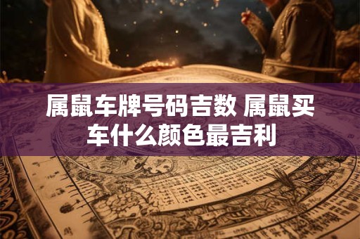 属鼠车牌号码吉数 属鼠买车什么颜色最吉利
