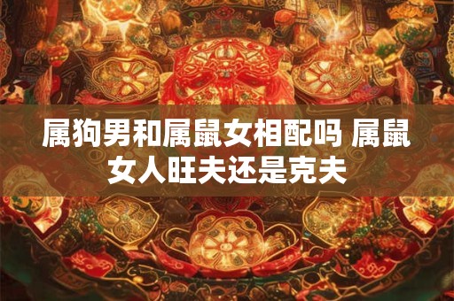 属狗男和属鼠女相配吗 属鼠女人旺夫还是克夫