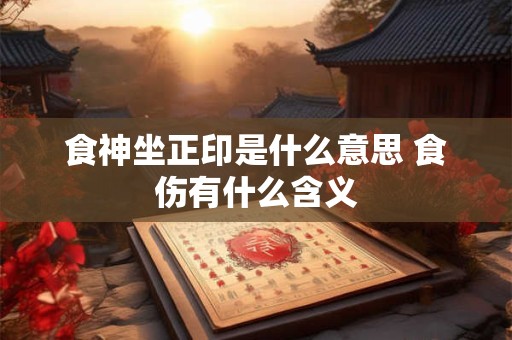 食神坐正印是什么意思 食伤有什么含义
