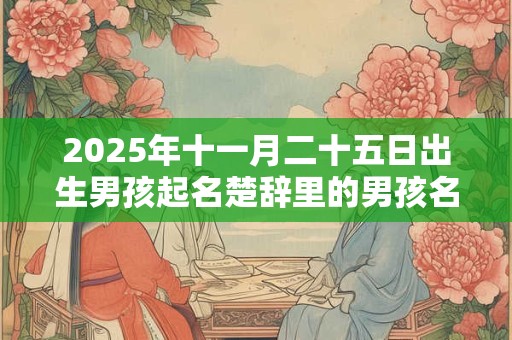 2025年十一月二十五日出生男孩起名楚辞里的男孩名字