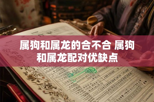 属狗和属龙的合不合 属狗和属龙配对优缺点