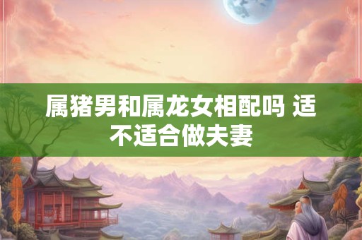 属猪男和属龙女相配吗 适不适合做夫妻