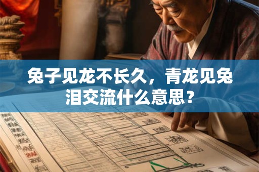 兔子见龙不长久，青龙见兔泪交流什么意思？