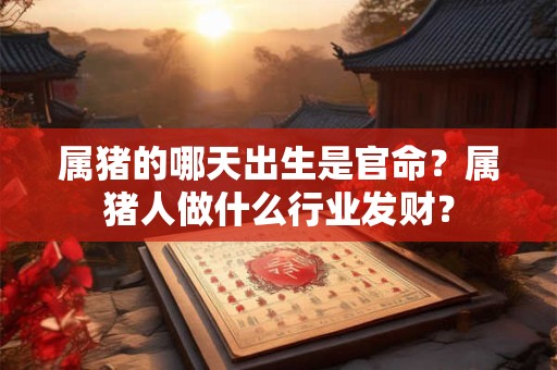 属猪的哪天出生是官命？属猪人做什么行业发财？