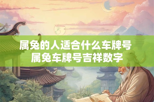 属兔的人适合什么车牌号 属兔车牌号吉祥数字