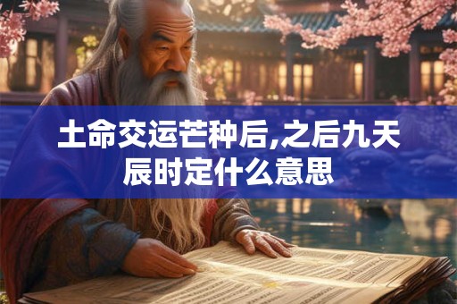 土命交运芒种后,之后九天辰时定什么意思