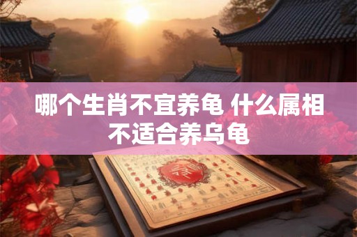 哪个生肖不宜养龟 什么属相不适合养乌龟