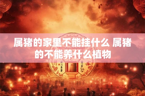 属猪的家里不能挂什么 属猪的不能养什么植物