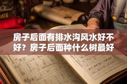 房子后面有排水沟风水好不好？房子后面种什么树最好？