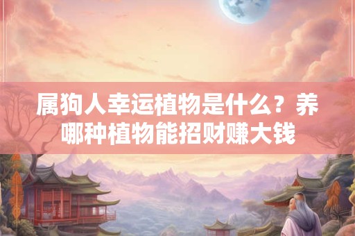 属狗人幸运植物是什么？养哪种植物能招财赚大钱