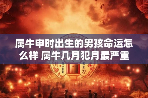 属牛申时出生的男孩命运怎么样 属牛几月犯月最严重