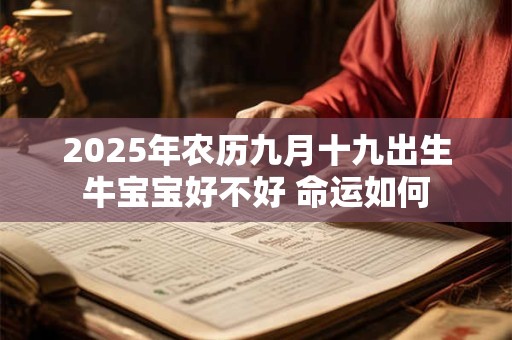 2025年农历九月十九出生牛宝宝好不好 命运如何