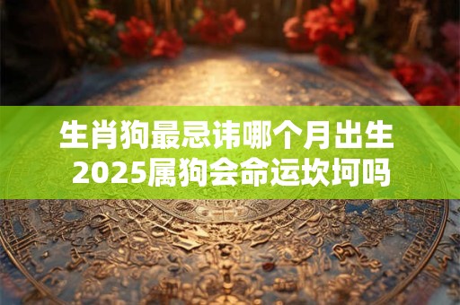 生肖狗最忌讳哪个月出生 2025属狗会命运坎坷吗