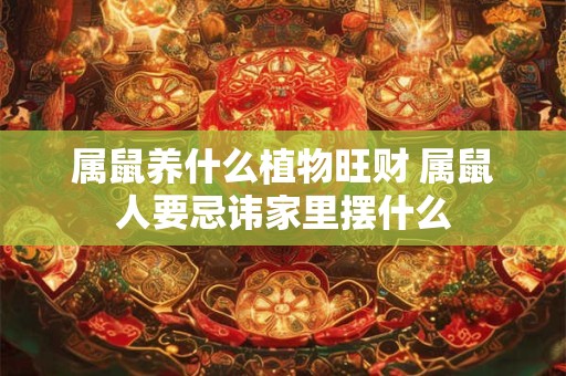 属鼠养什么植物旺财 属鼠人要忌讳家里摆什么