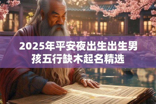 2025年平安夜出生出生男孩五行缺木起名精选