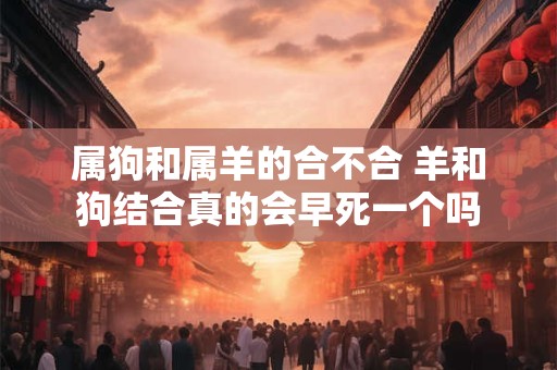 属狗和属羊的合不合 羊和狗结合真的会早死一个吗