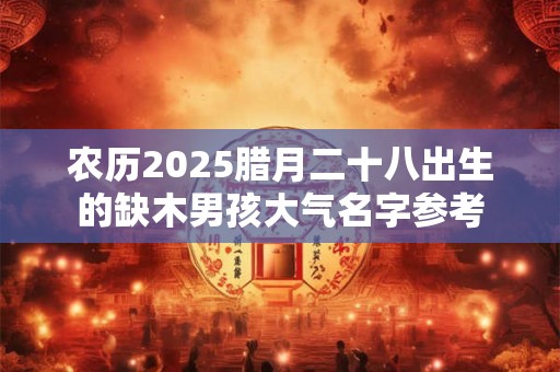 农历2025腊月二十八出生的缺木男孩大气名字参考