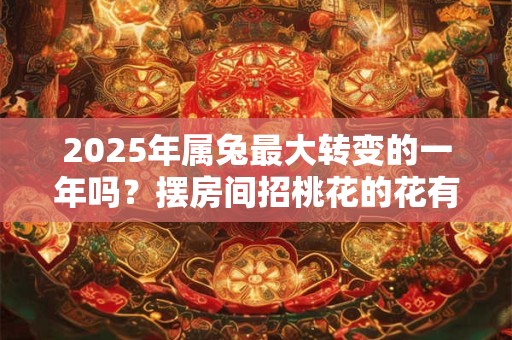 2025年属兔最大转变的一年吗？摆房间招桃花的花有哪些？
