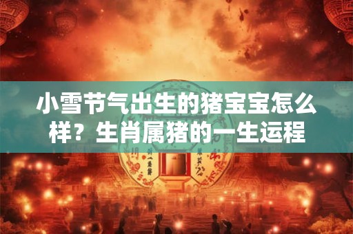 小雪节气出生的猪宝宝怎么样？生肖属猪的一生运程