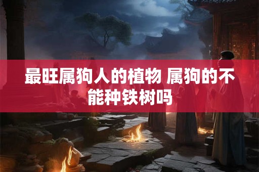 详细阅读:最旺属狗人的植物 属狗的不能种铁树吗 最旺属狗人的植物 属狗的不能种铁树吗