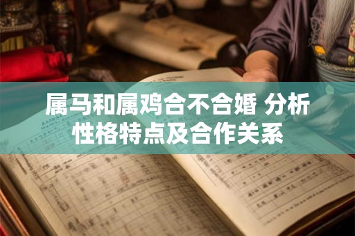 属马和属鸡合不合婚 分析性格特点及合作关系