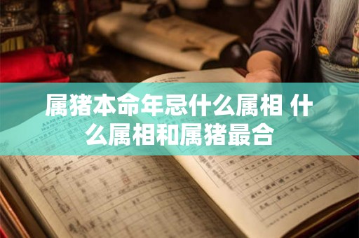 属猪本命年忌什么属相 什么属相和属猪最合