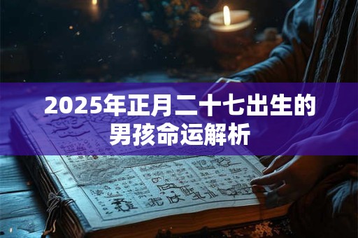 2025年正月二十七出生的男孩命运解析