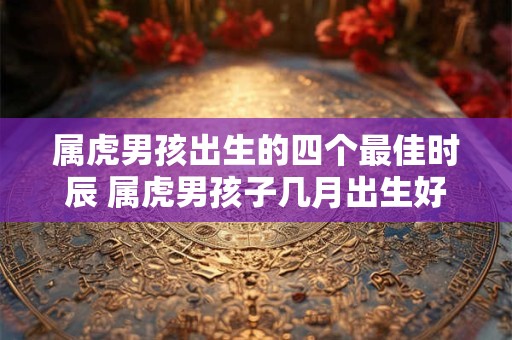 详细阅读:属虎男孩出生的四个最佳时辰 属虎男孩子几月出生好 属虎男孩出生的四个最佳时辰 属虎男孩子几月出生好