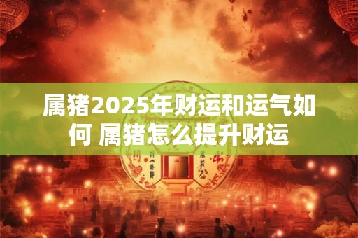 属猪2025年财运和运气如何 属猪怎么提升财运
