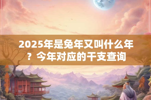 2025年是兔年又叫什么年？今年对应的干支查询