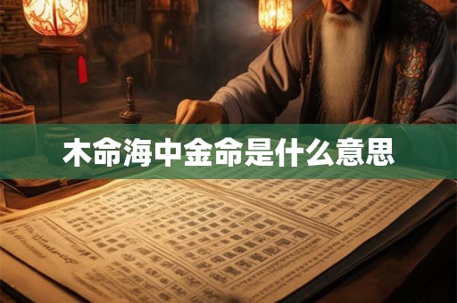 木命海中金命是什么意思