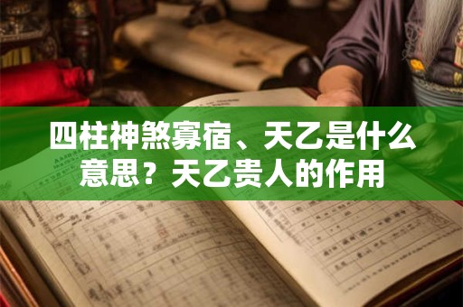 四柱神煞寡宿、天乙是什么意思？天乙贵人的作用