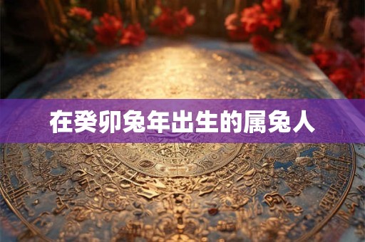 在癸卯兔年出生的属兔人