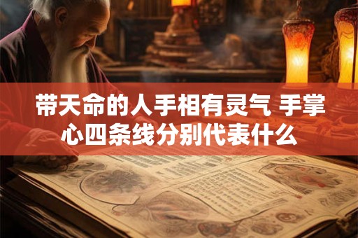 带天命的人手相有灵气 手掌心四条线分别代表什么