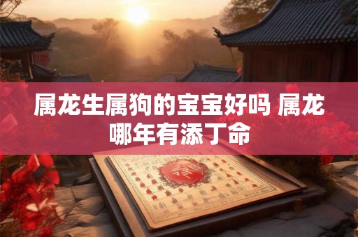 属龙生属狗的宝宝好吗 属龙哪年有添丁命