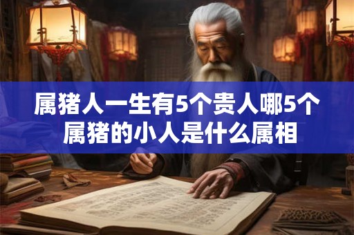 属猪人一生有5个贵人哪5个 属猪的小人是什么属相