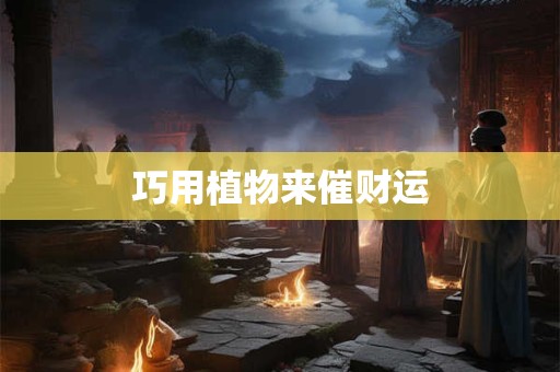 巧用植物来催财运