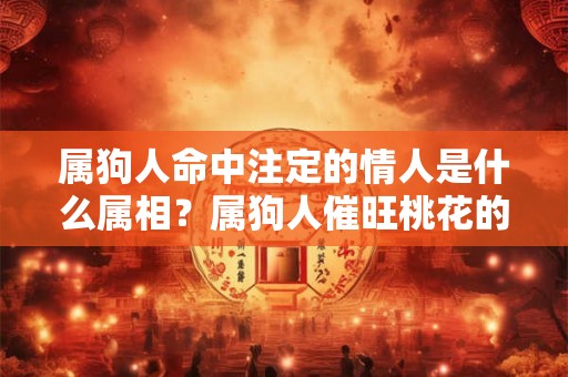 属狗人命中注定的情人是什么属相？属狗人催旺桃花的吉祥物