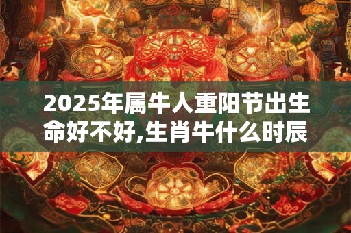 对于头发都没有什么时间去打理