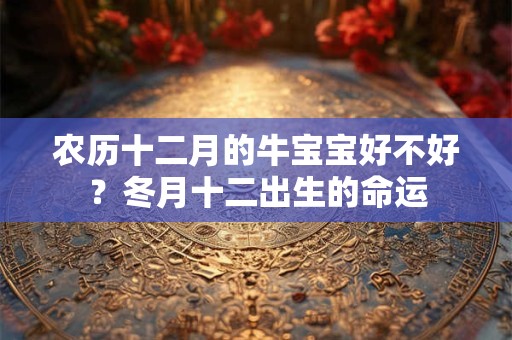 农历十二月的牛宝宝好不好？冬月十二出生的命运